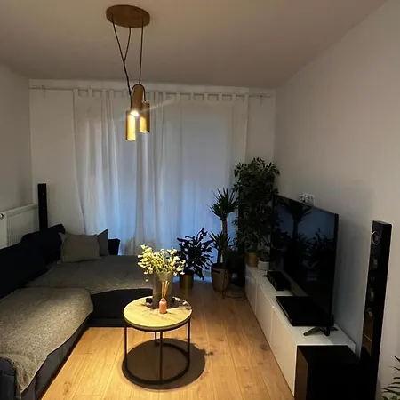 Apartament Z Kwiatami Centrum Mieszczanska Przy Odrze New * 브로츠와프