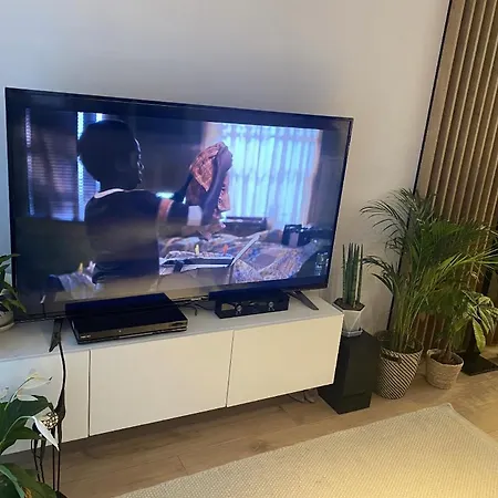 Apartament Z Kwiatami Centrum Mieszczanska Przy Odrze New * 브로츠와프